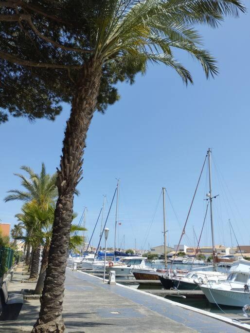 Studio 4 Couchages Avec Piscine D'Ete Vue Port Agde Exterior photo